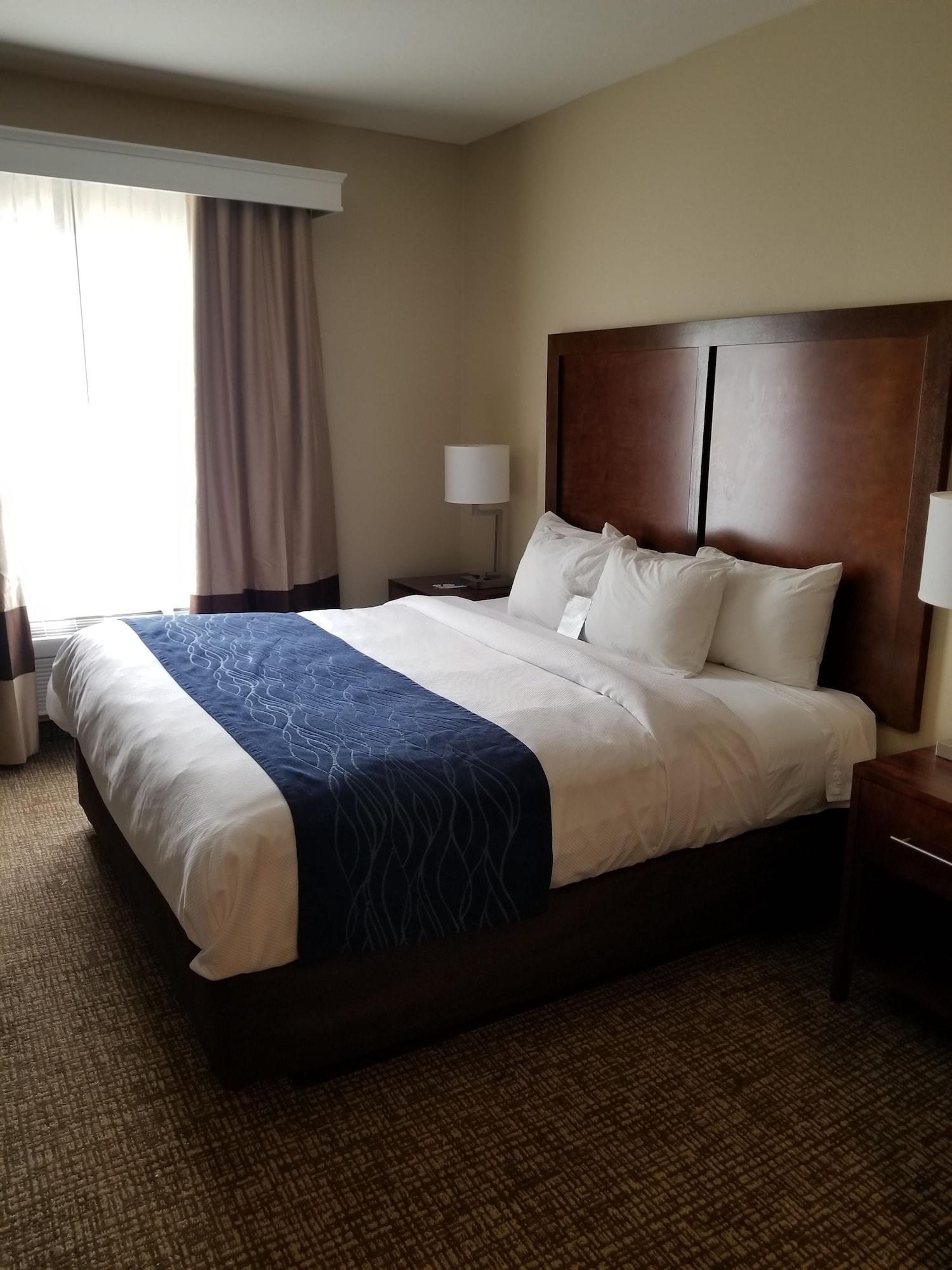 Отель Sonesta Essential - Baton Rouge Airport Экстерьер фото